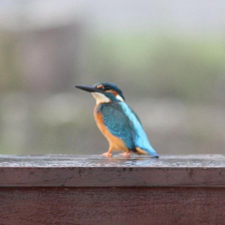 River Cottage Balledent Esterno foto