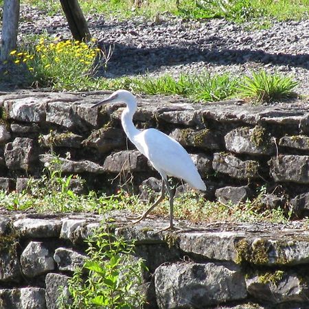 River Cottage Balledent Esterno foto